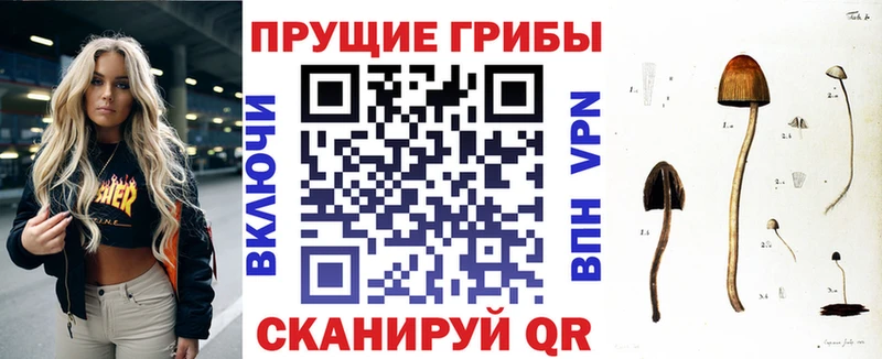 наркотики  Салават  Галлюциногенные грибы мухоморы 