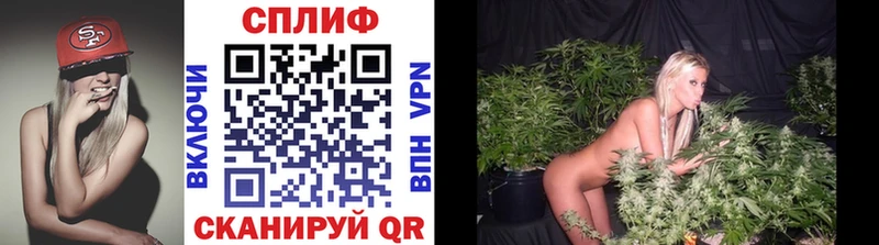 Конопля планчик  Салават 